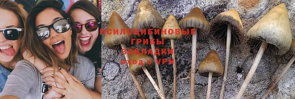 соль курить ск Волосово